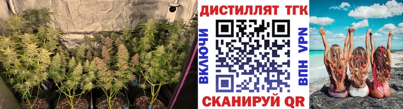 Дистиллят ТГК вейп с тгк Сретенск