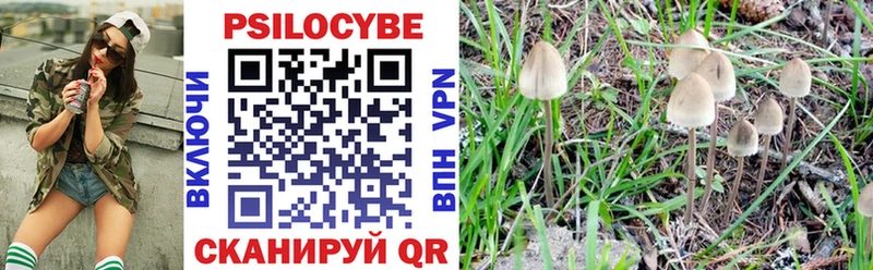 Псилоцибиновые грибы Cubensis  Сретенск 